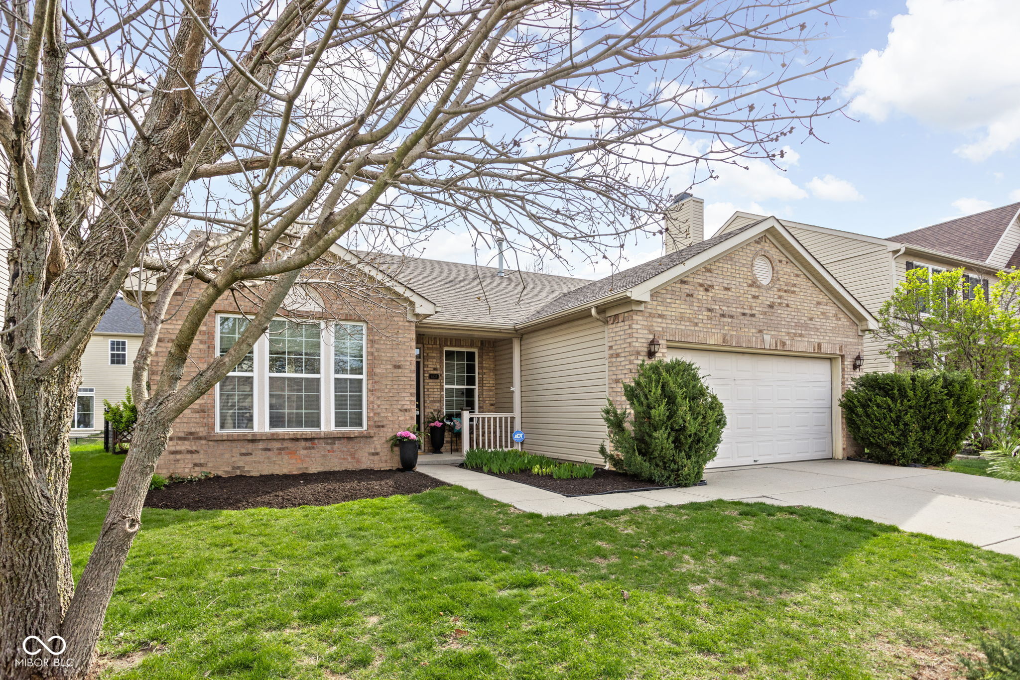6537 Amherst Way