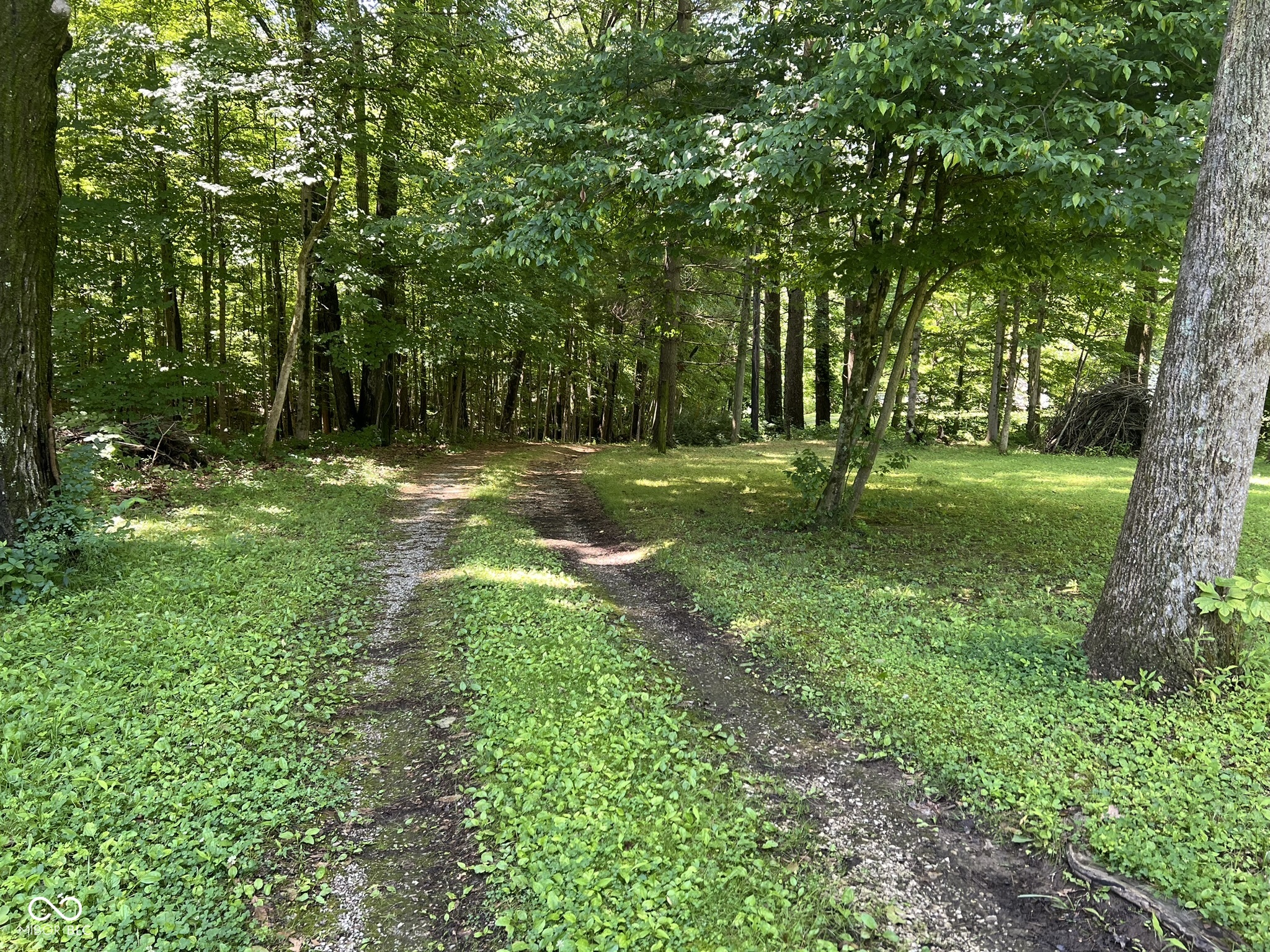 493 Hornettown Lane