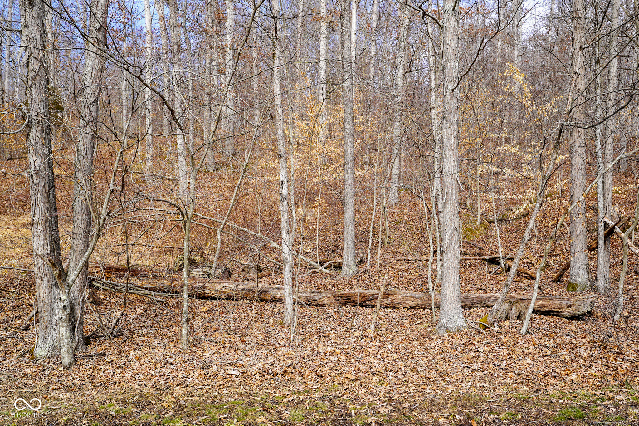 0 Bellsville Pike