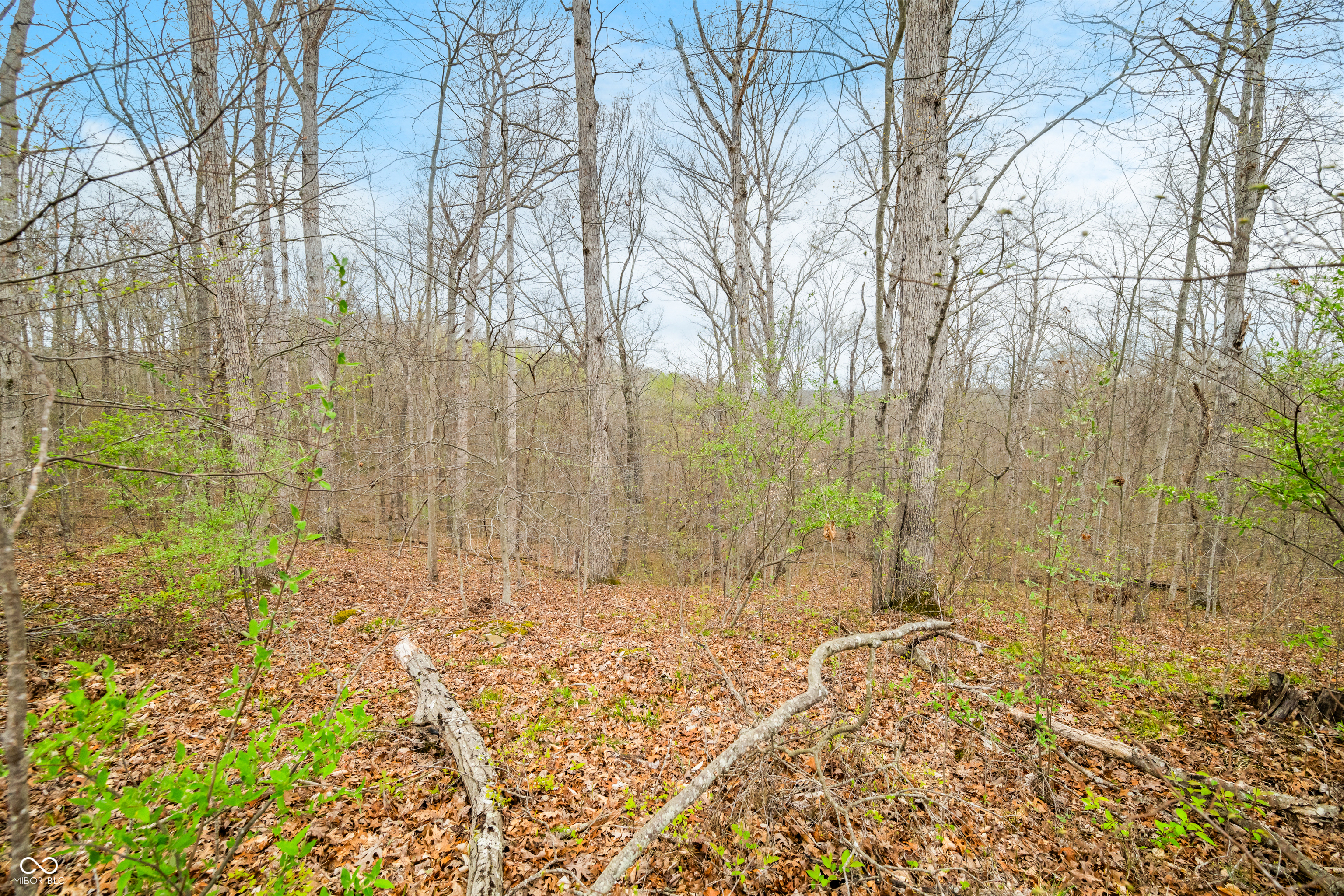 4100 Block of Lower Schooner Road