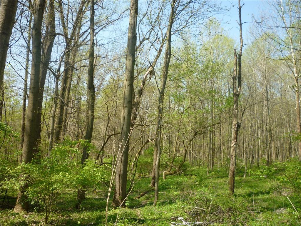 0 South State Road 59