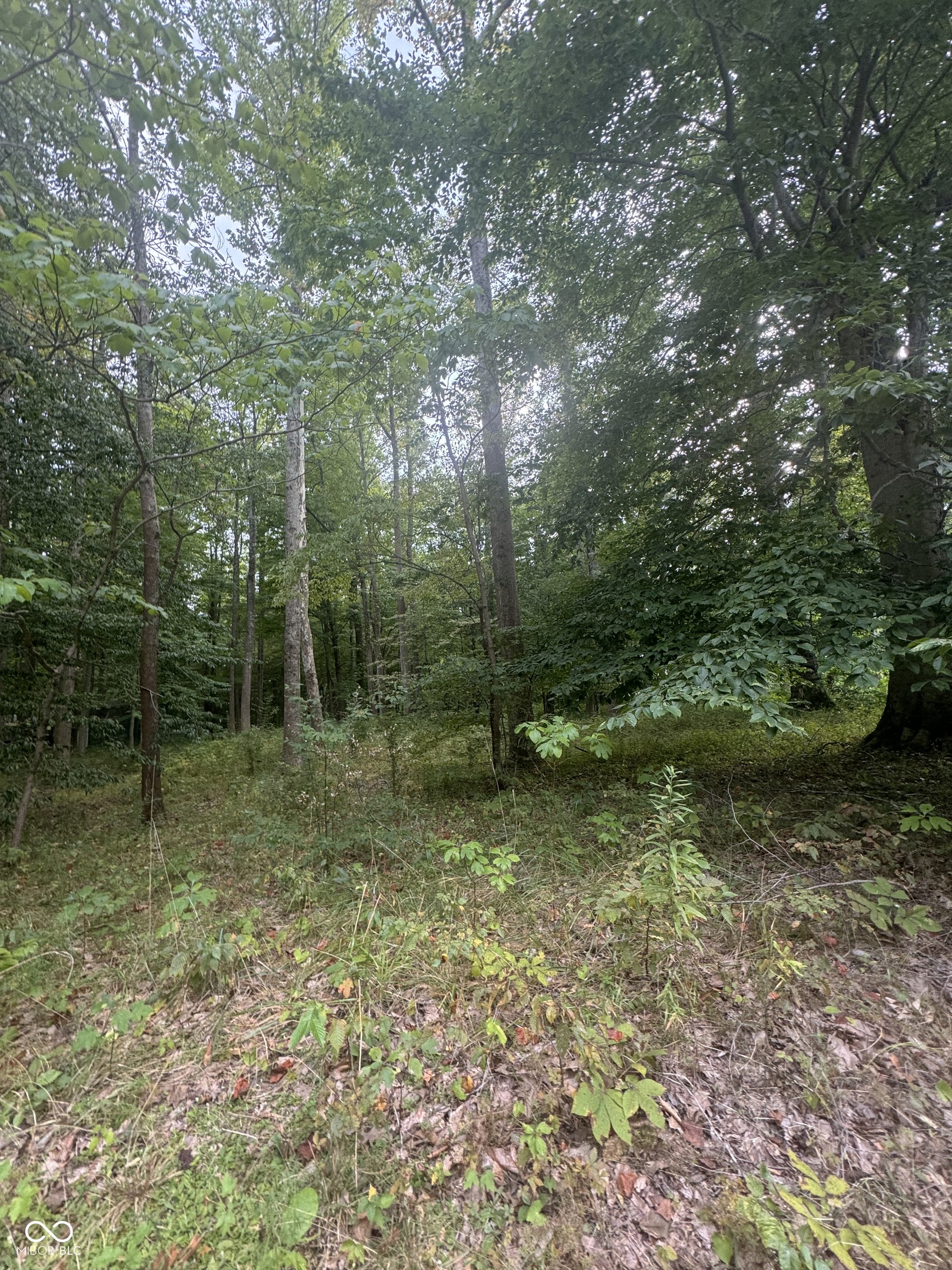 1103 Cocopa Trail