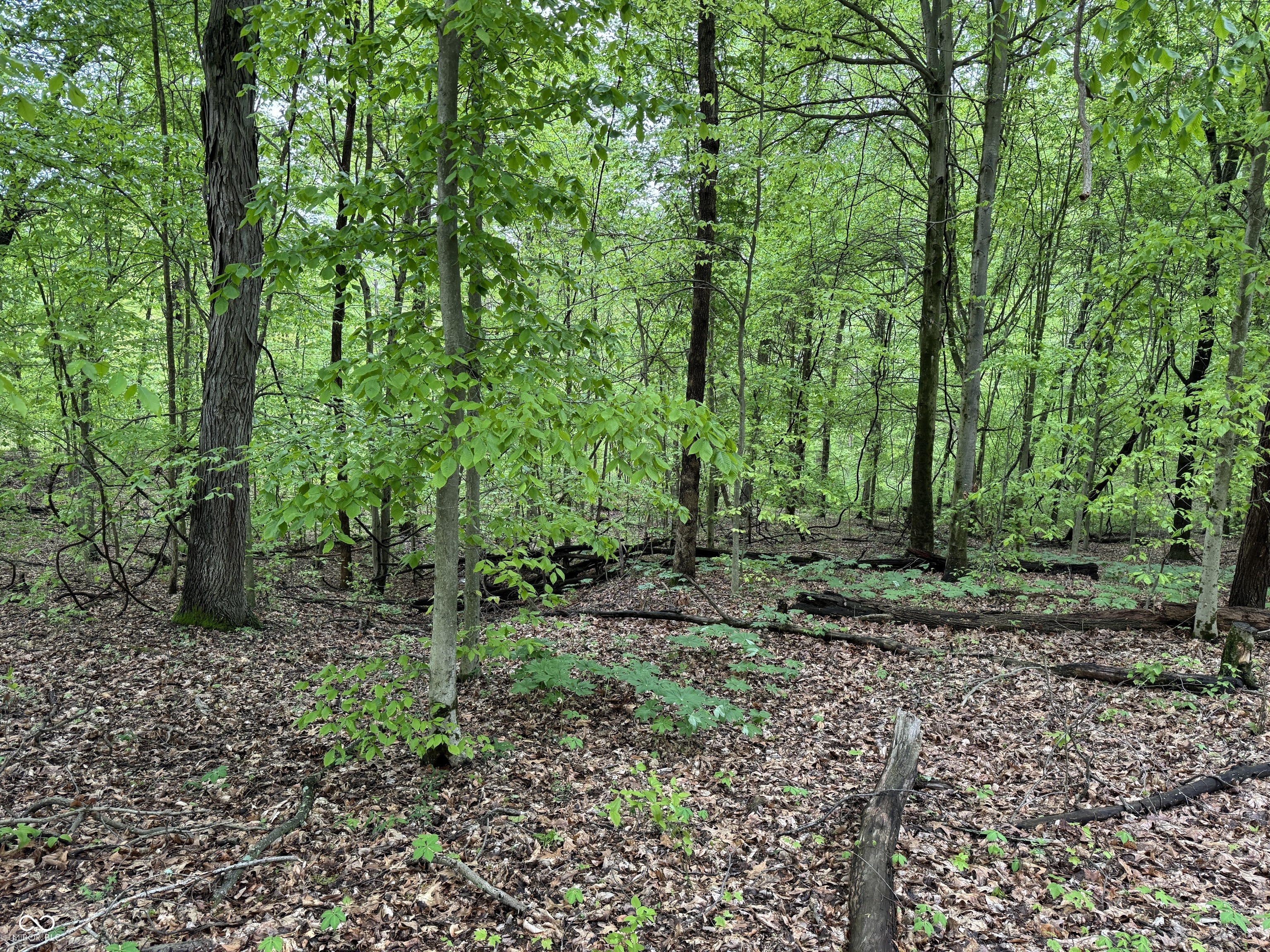 0 Pinewood Lane