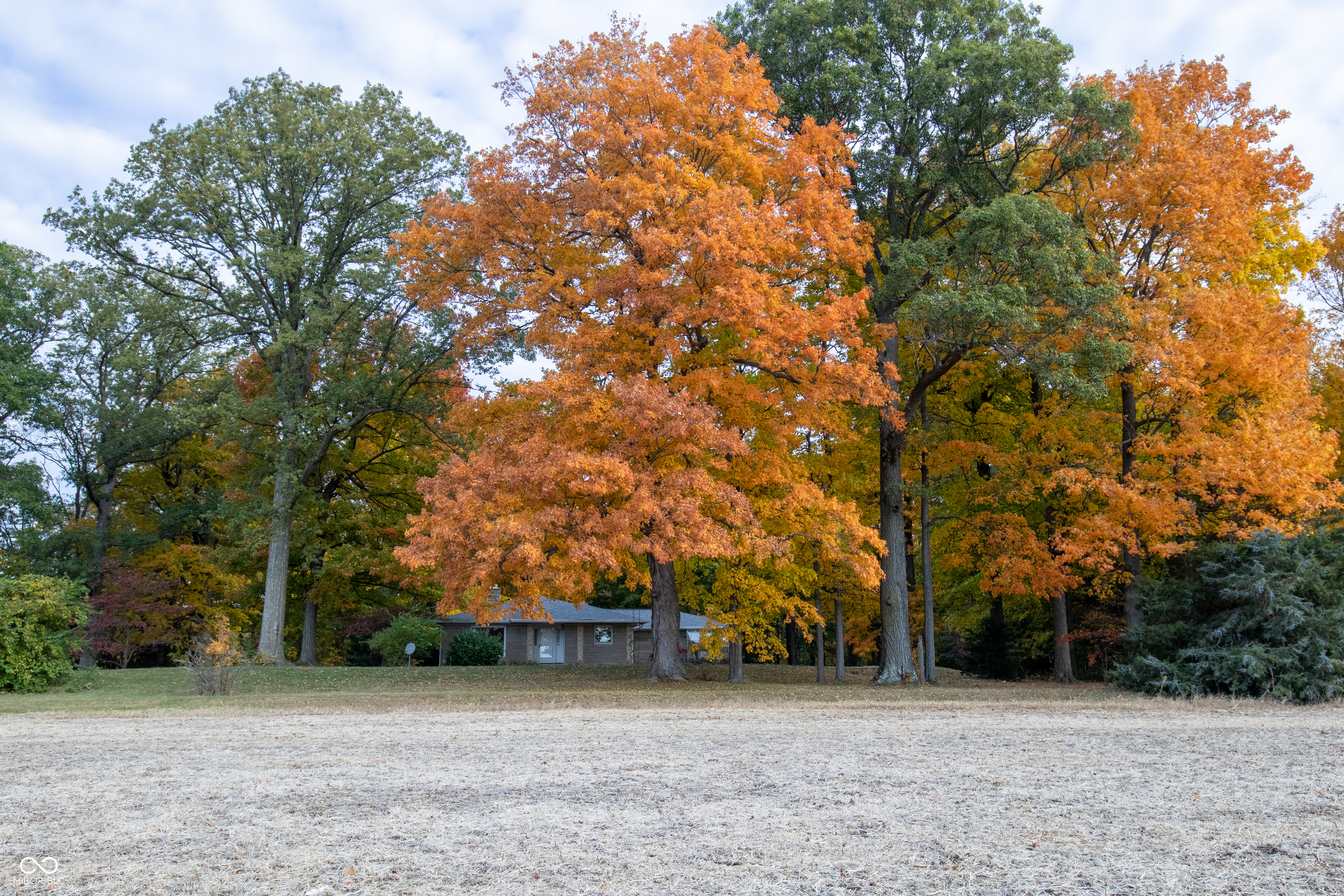 1178 W State Road 38