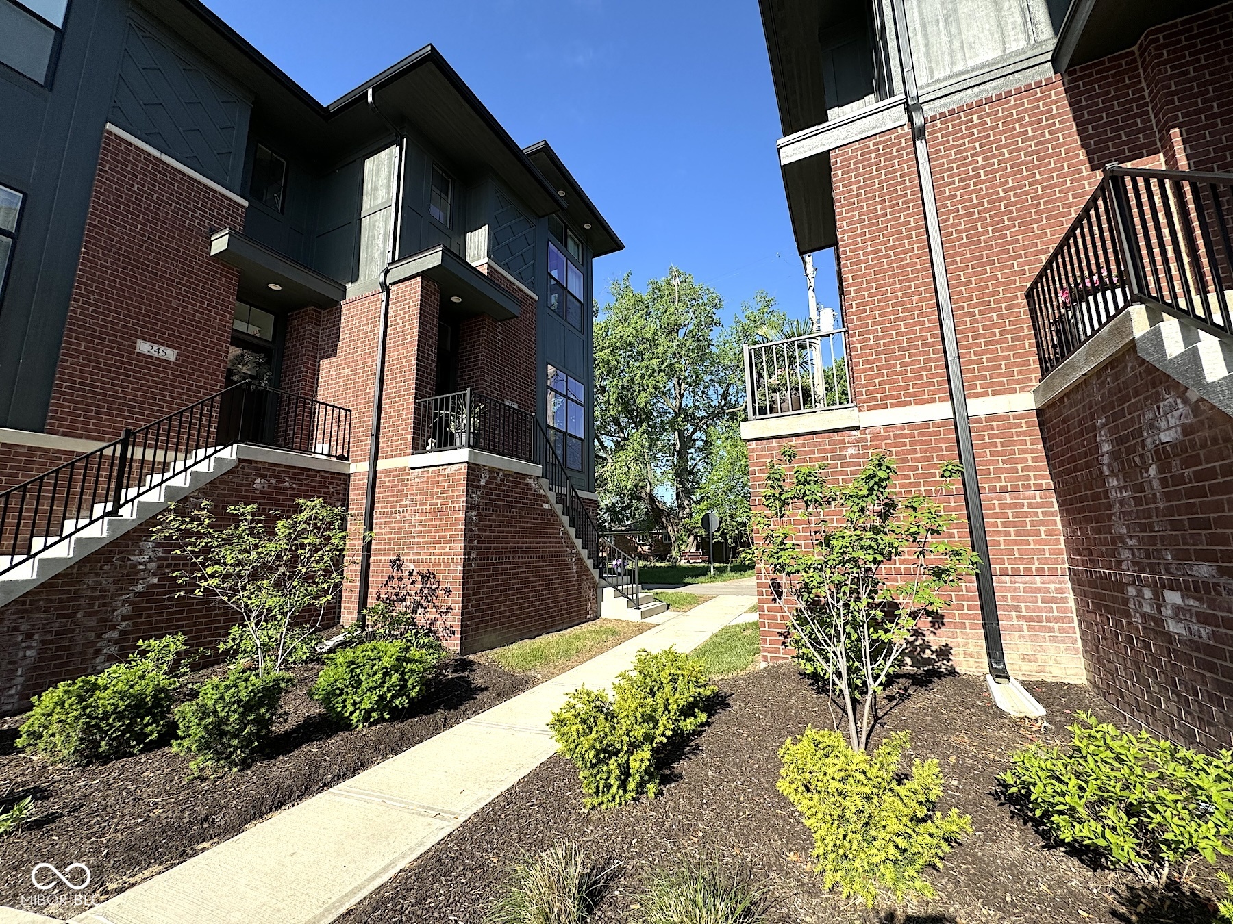 247 Poplar Street