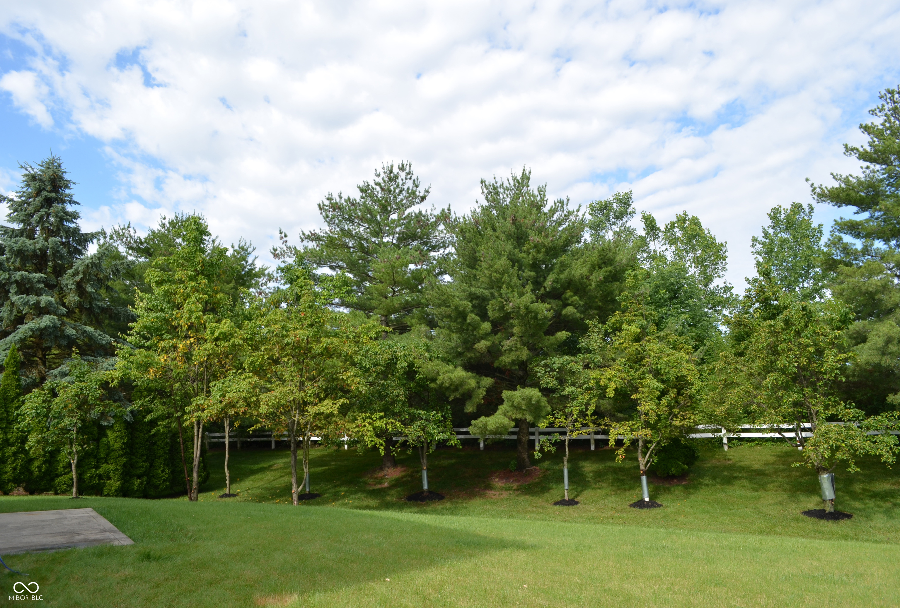 10848 Madeline Court