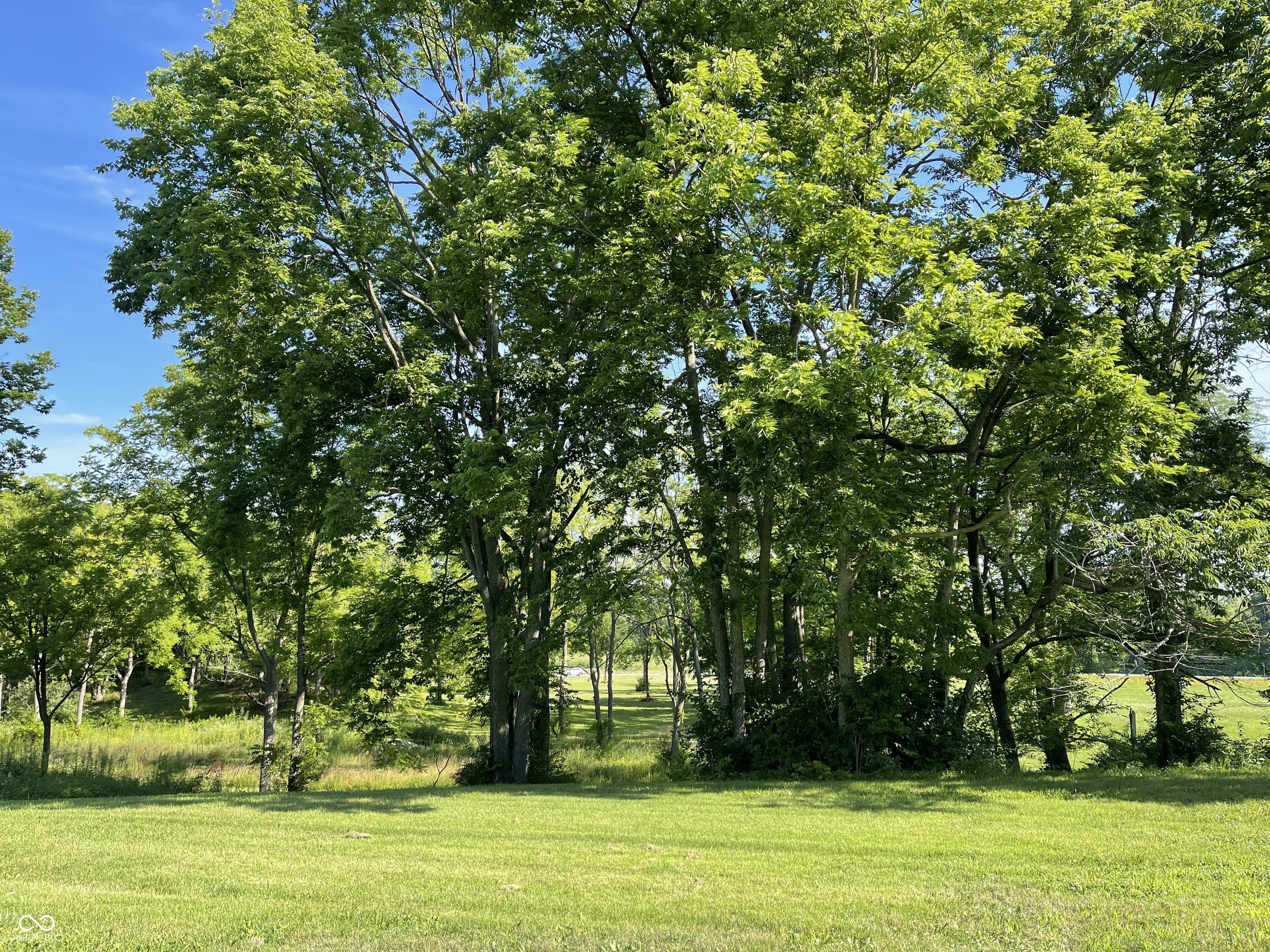 5586 Gibbs Road