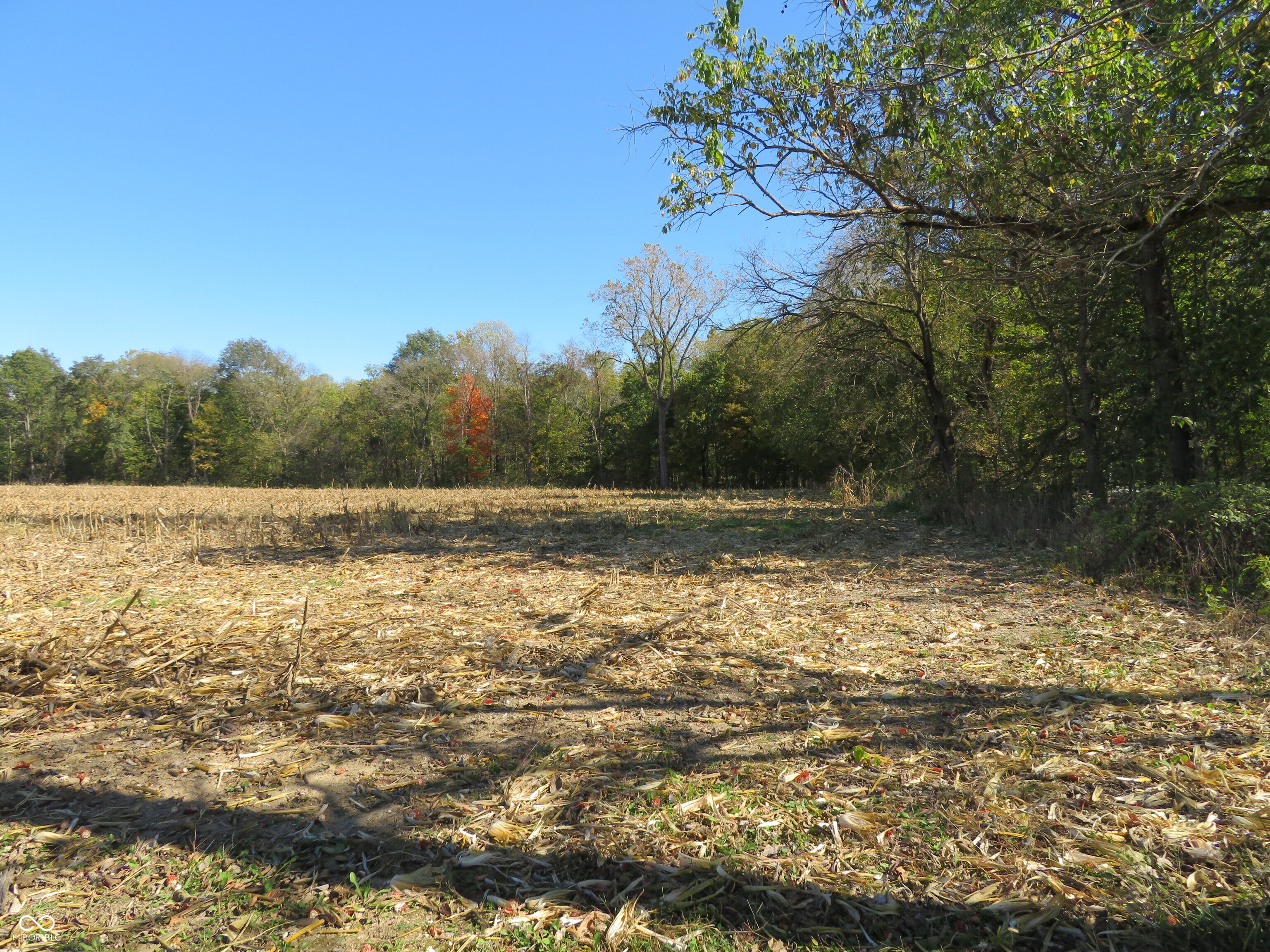 3009 W County Road 100 S