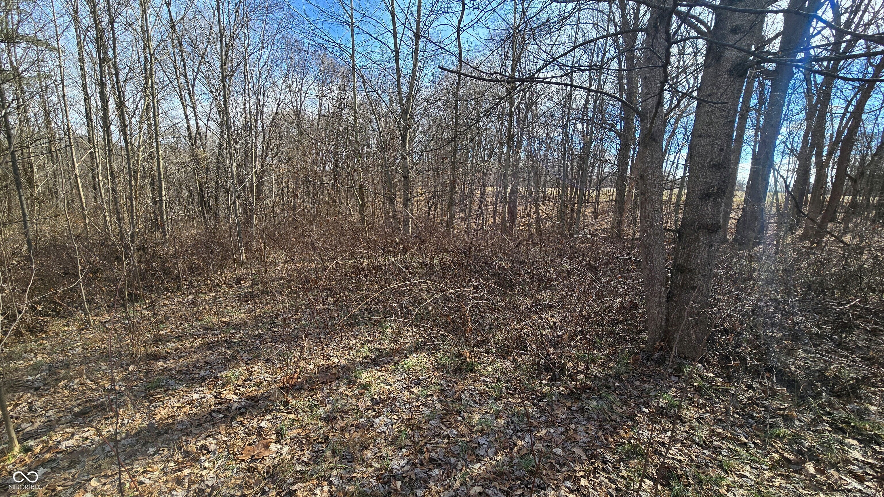 9885 W County Road 75 S