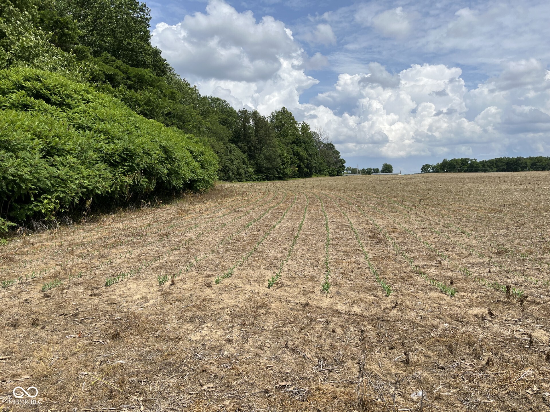 900 W Block Co Rd 50 S