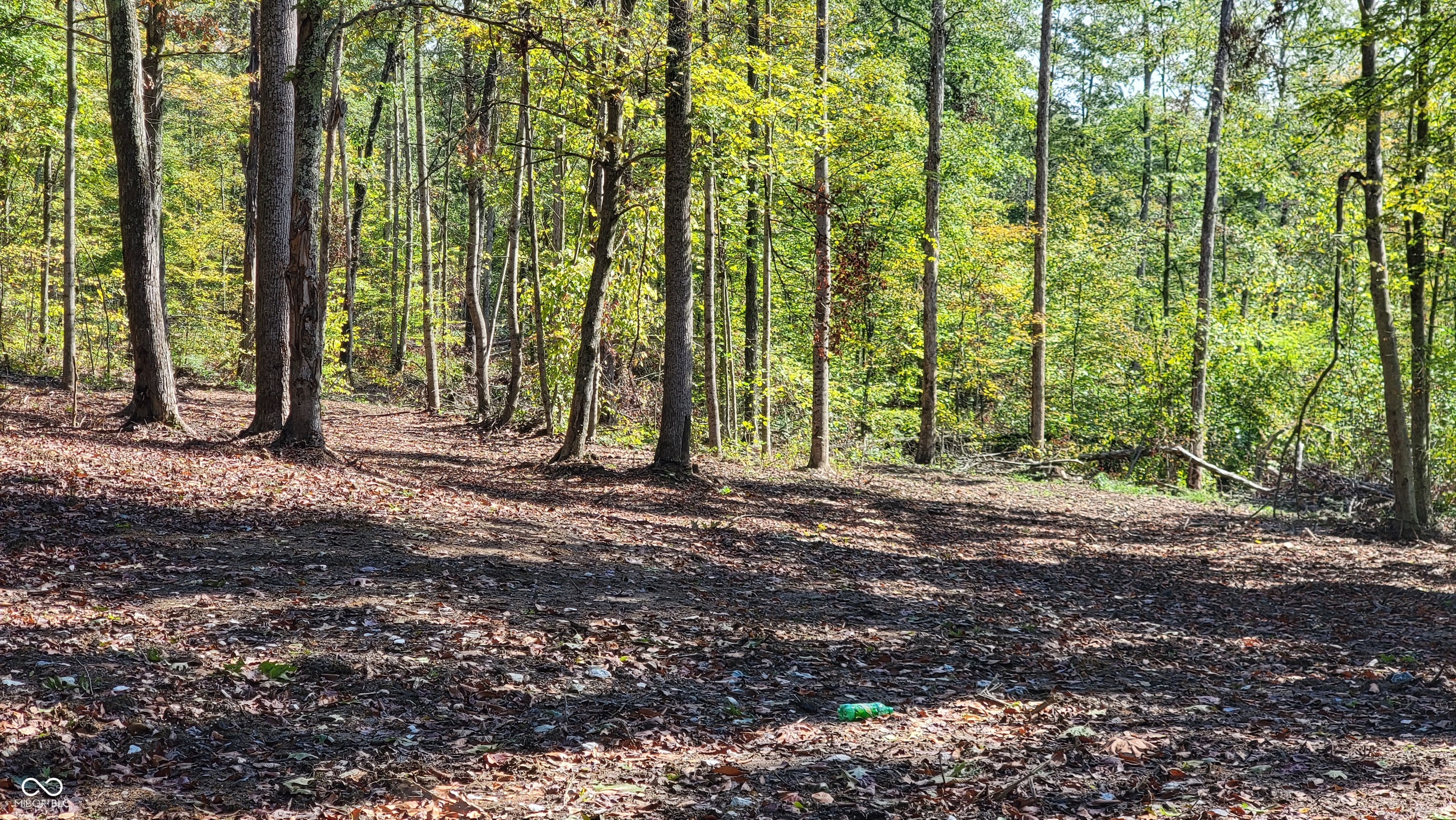 8000 W County Road 625 Tract 4 N