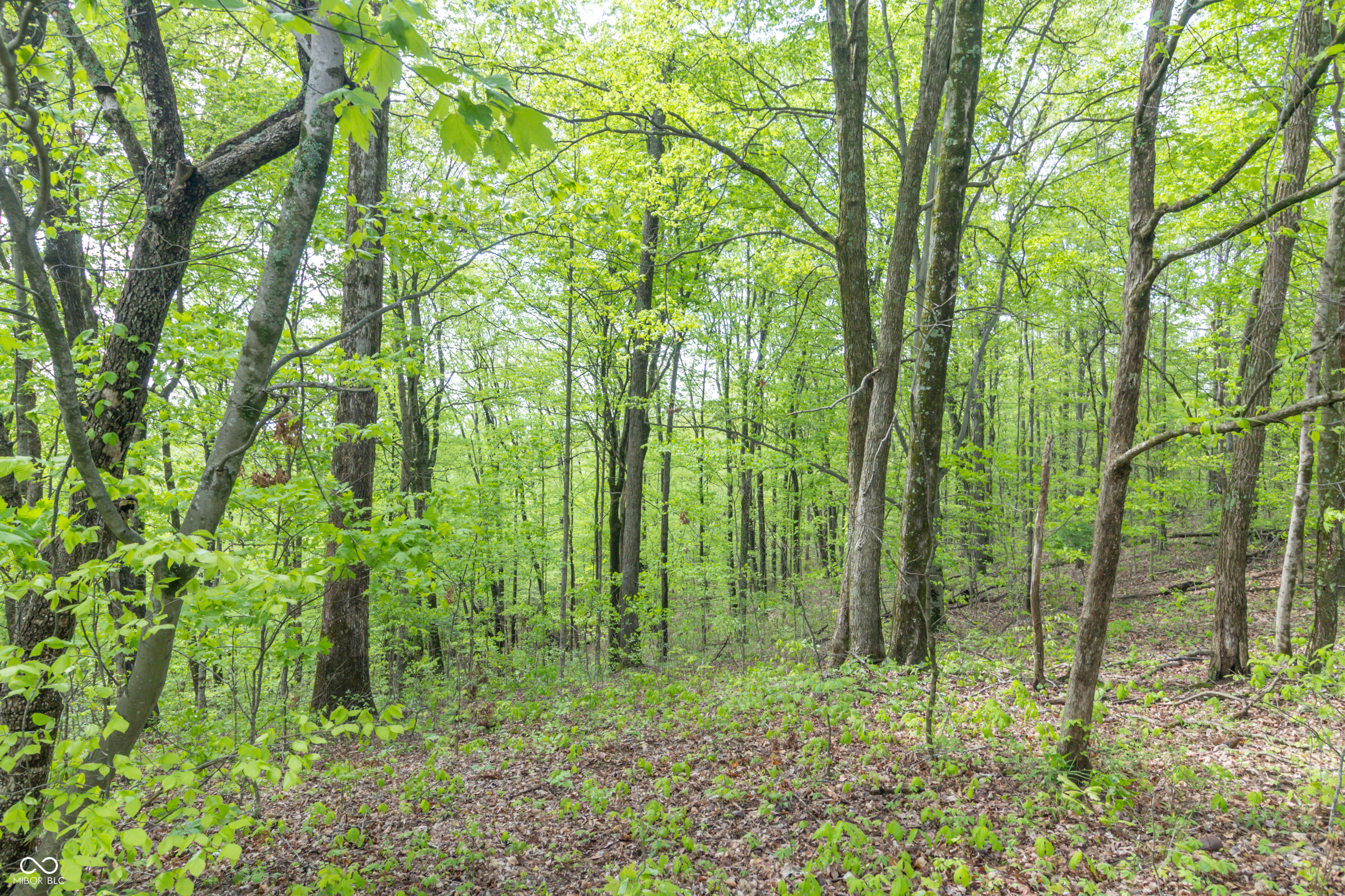 6000 W County Road 700 N