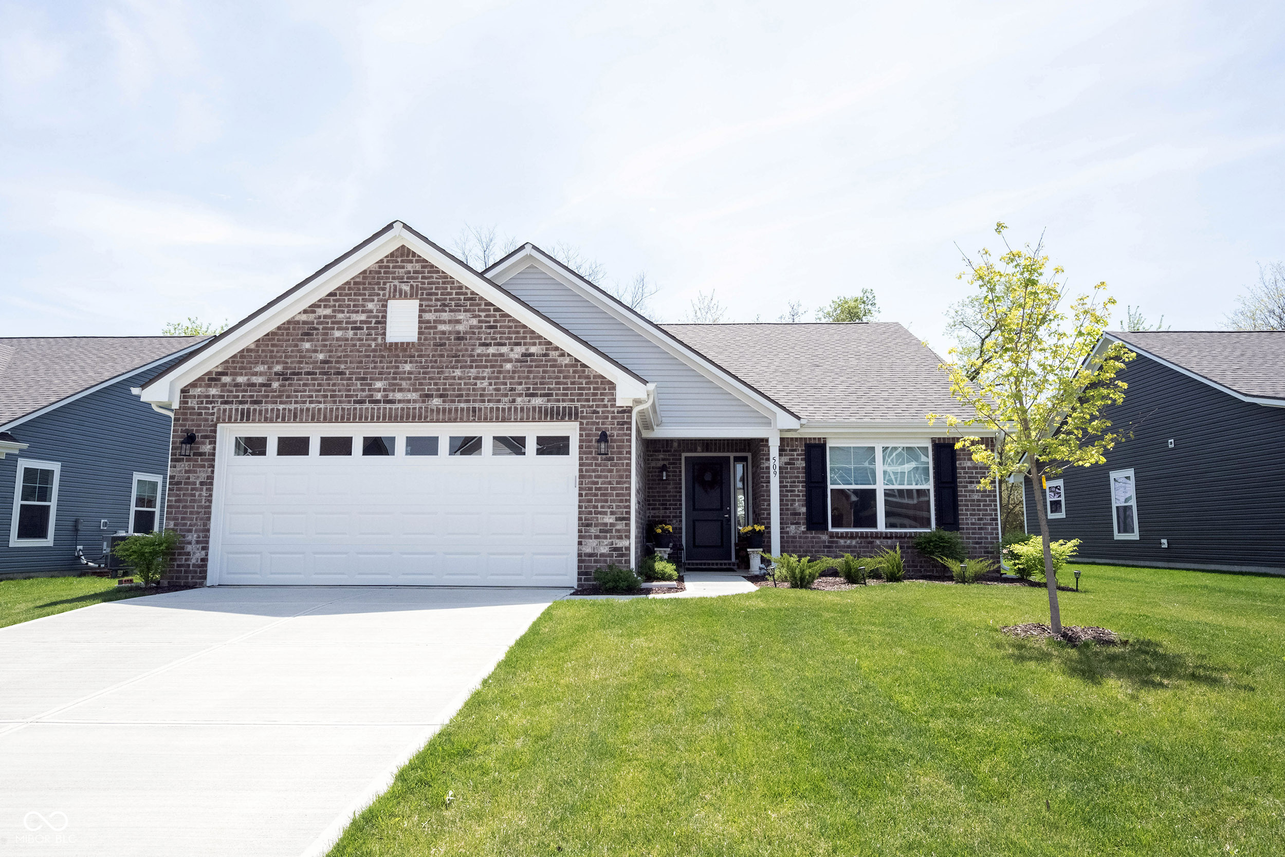 509 Tulip Tree Drive