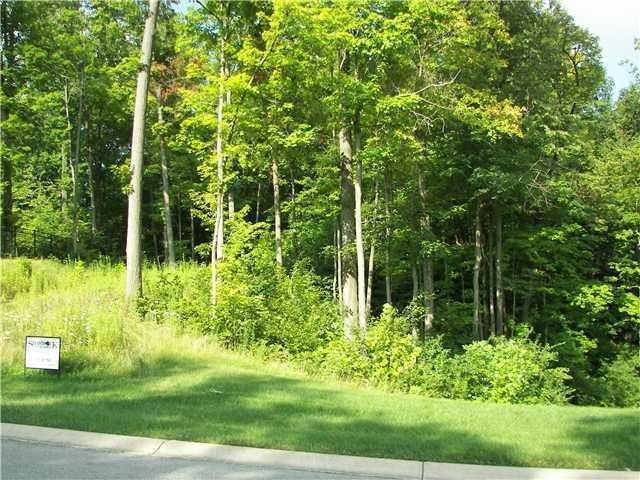 7420 Creekbed Lane
