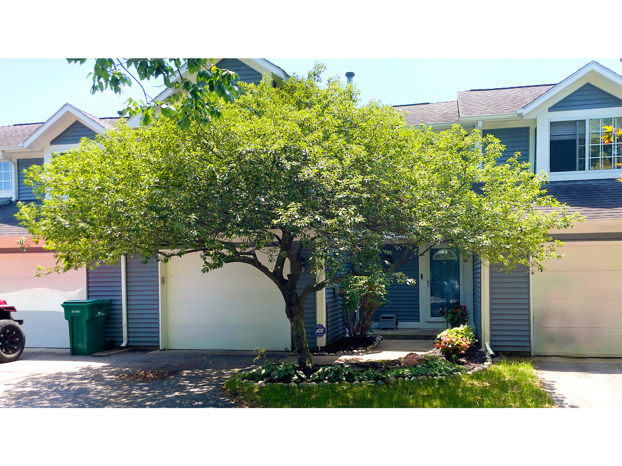 7165 Bay Point Court