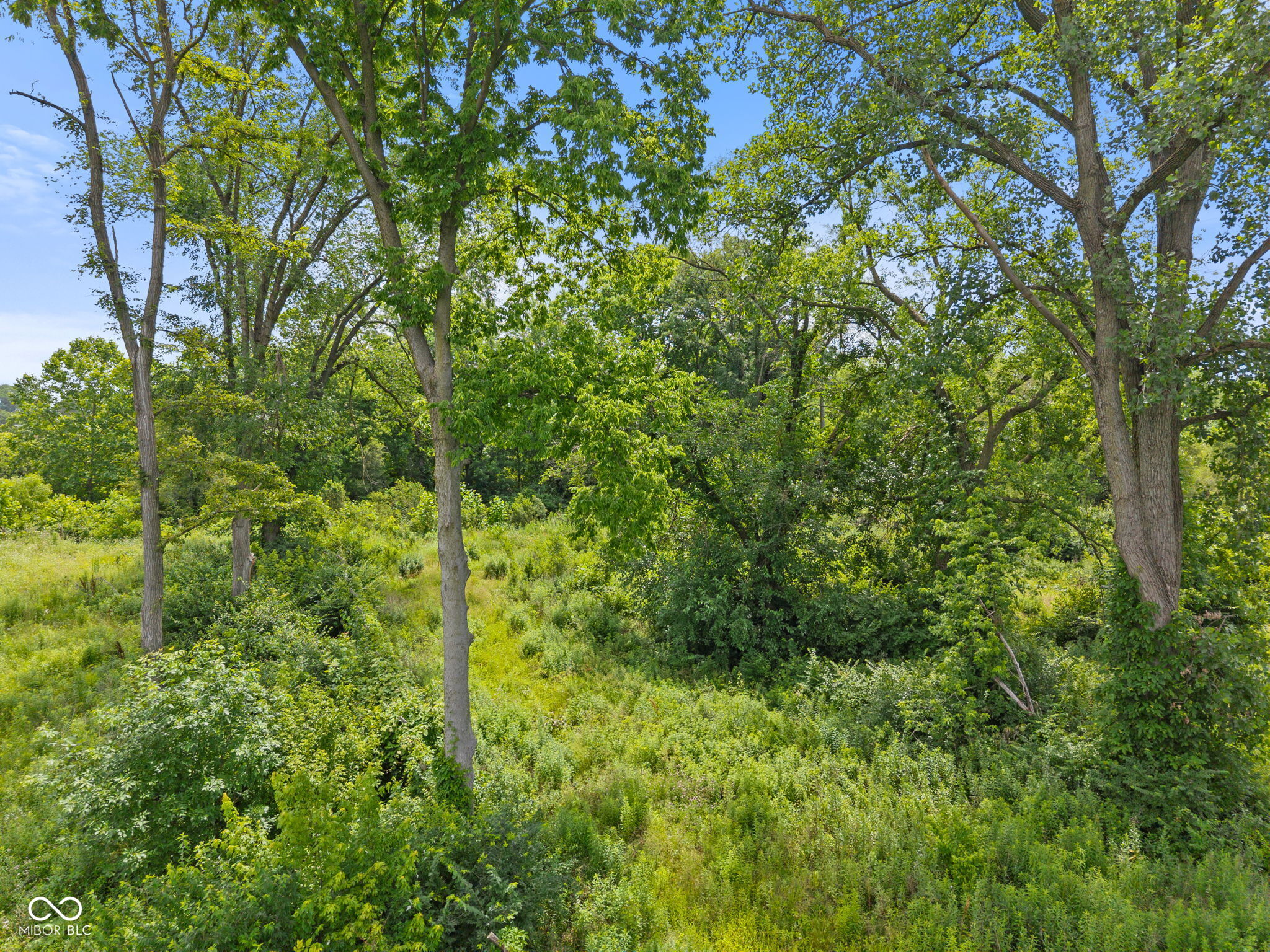 3261 Arbor Avenue