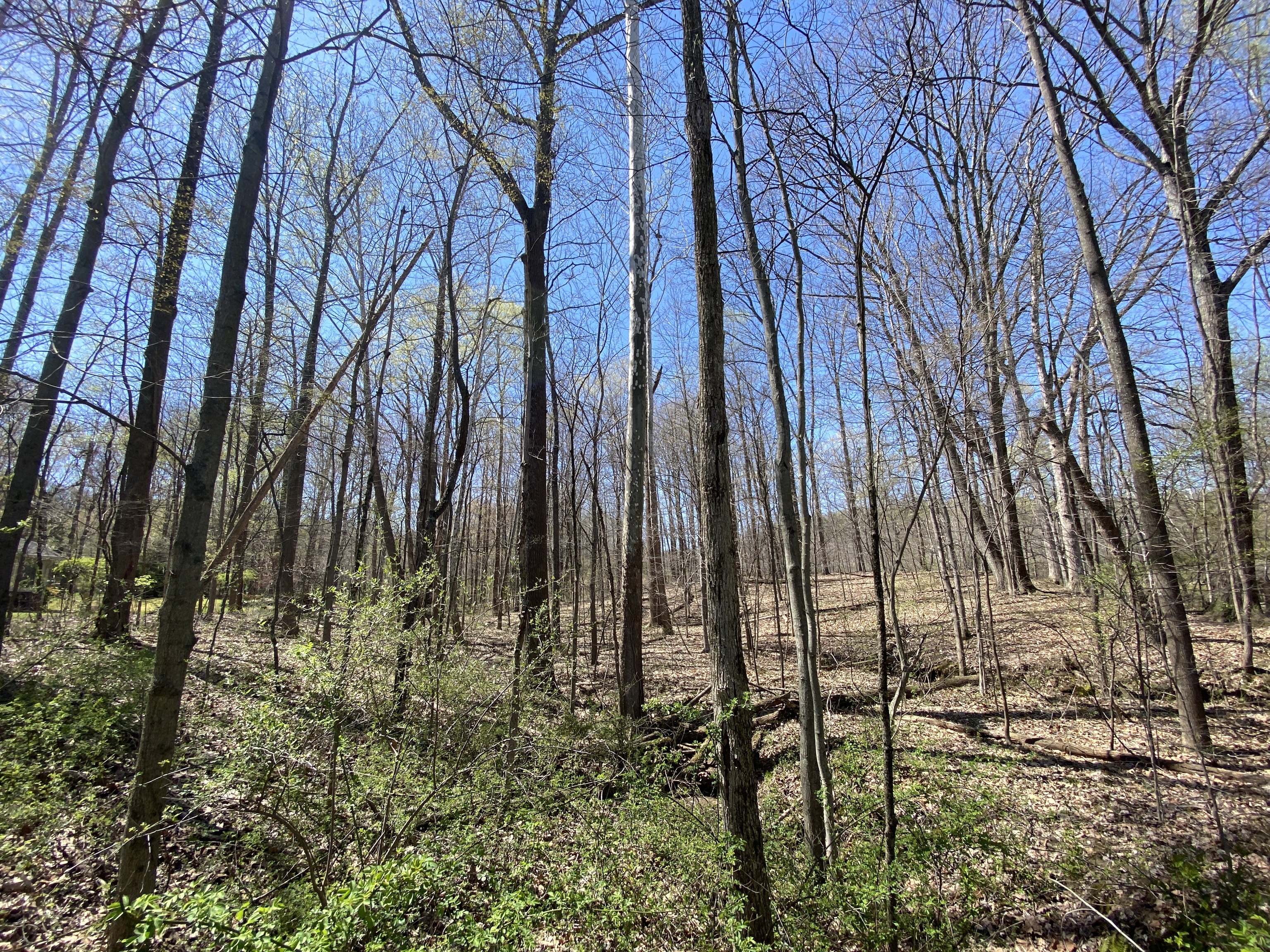 3060 N Country Club Road