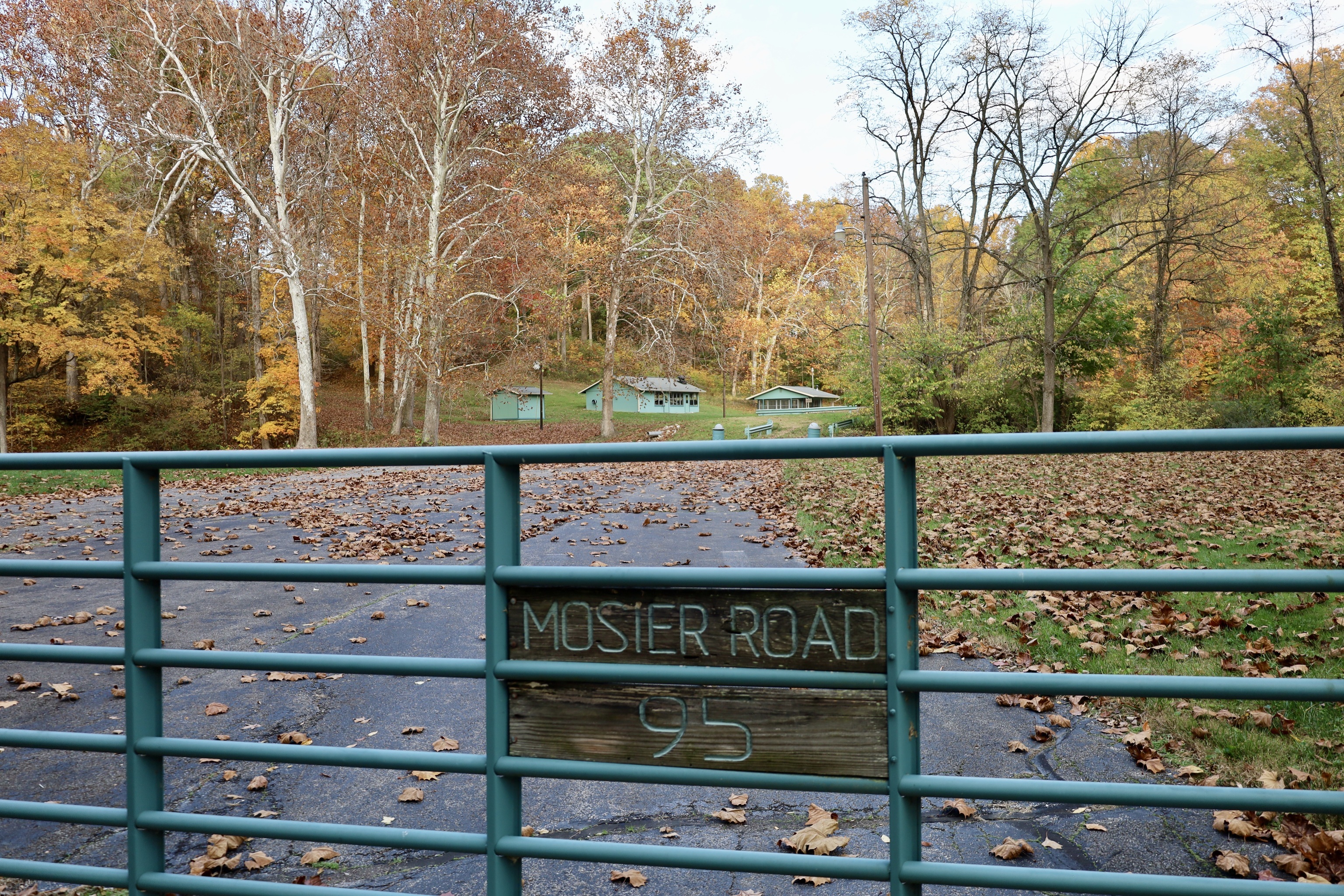 195 Mosier Road