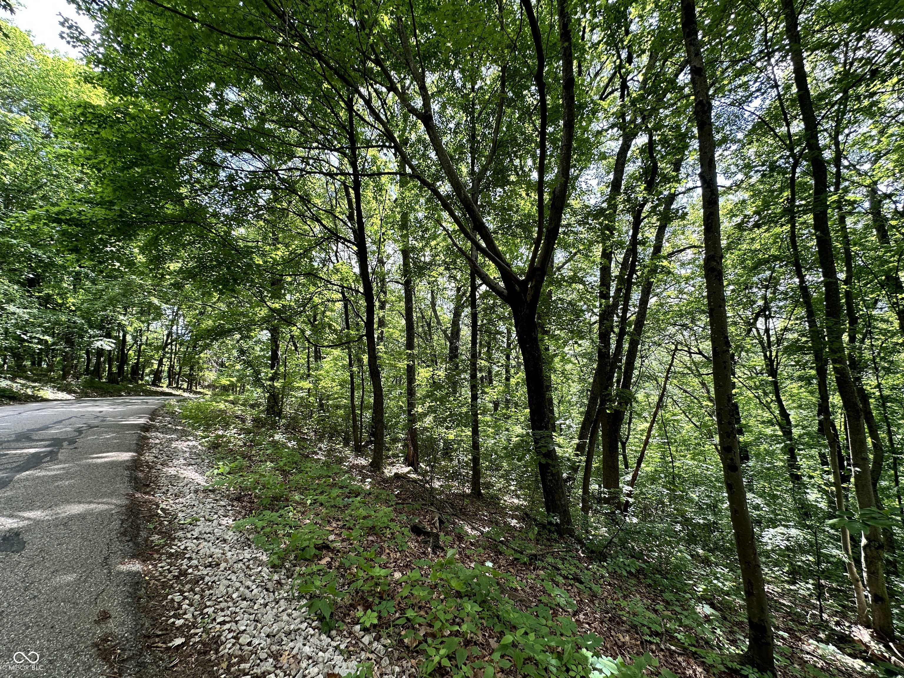 0 Dynasty Ridge Road