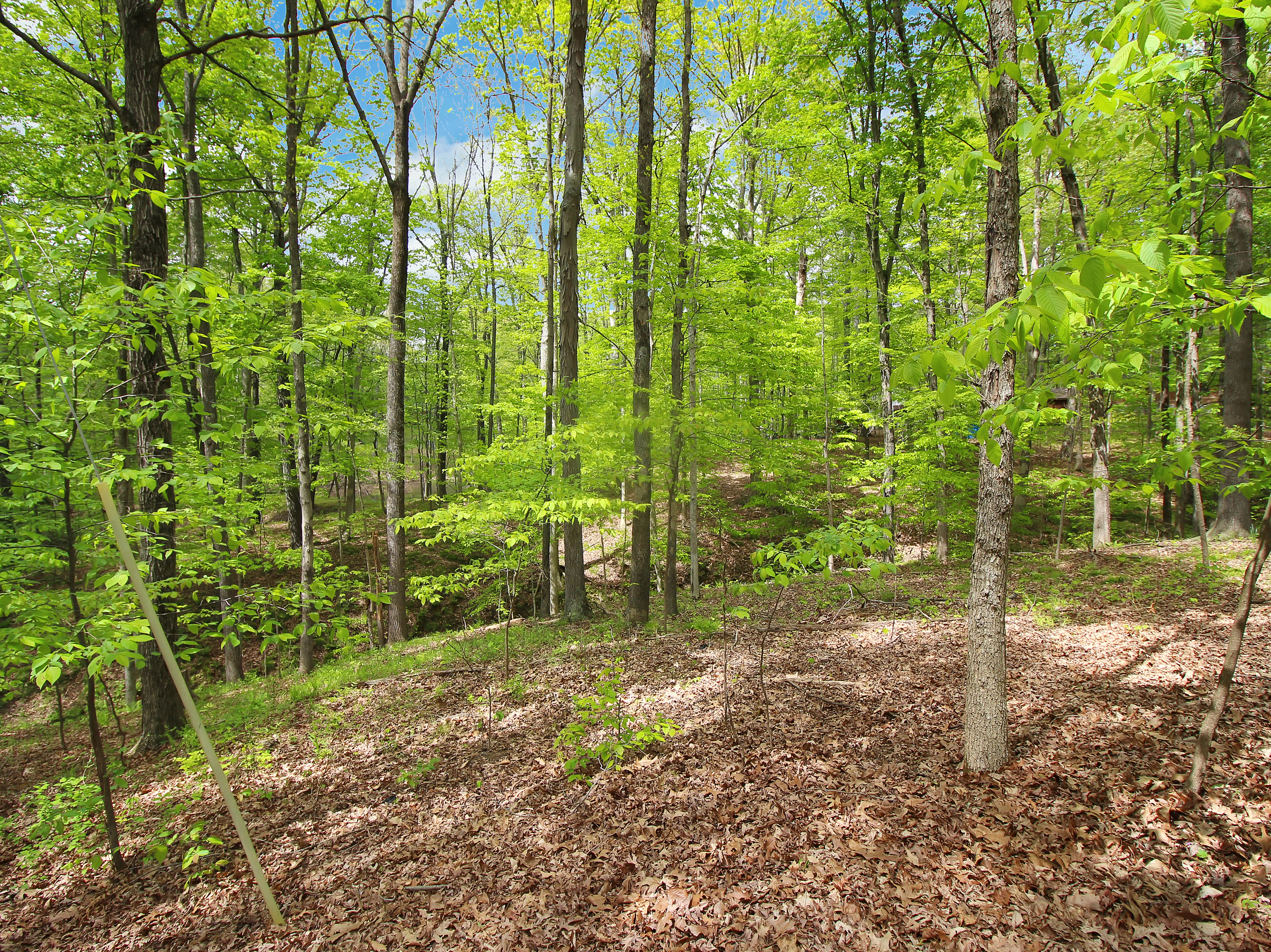 10551 Owl Hollow Road