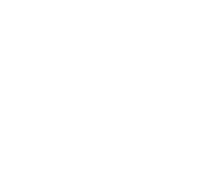 Poppies for Amelia - A Story Shares Original