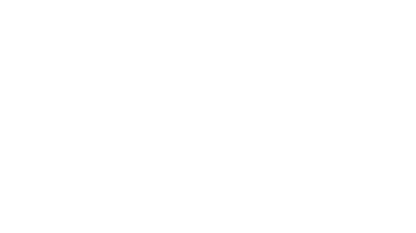 Jimmy Fincher Saga - War of the Black Curtain - Book 4
