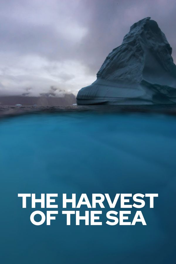 title cover