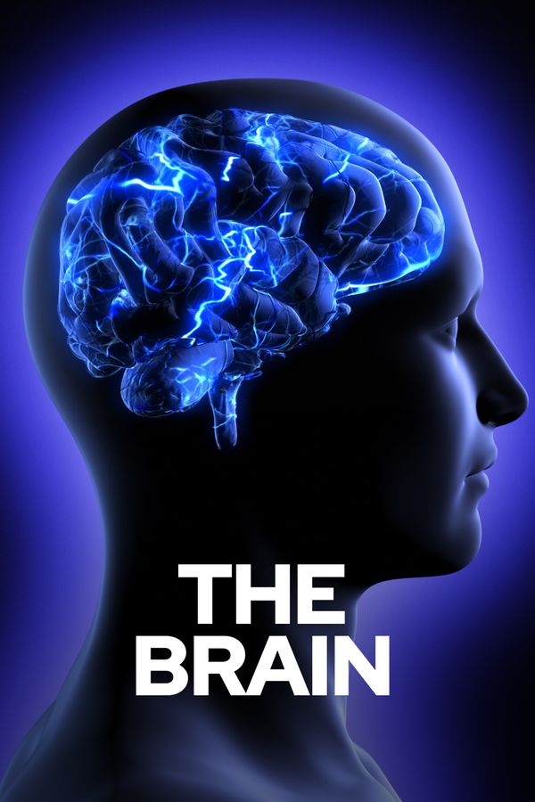 title cover