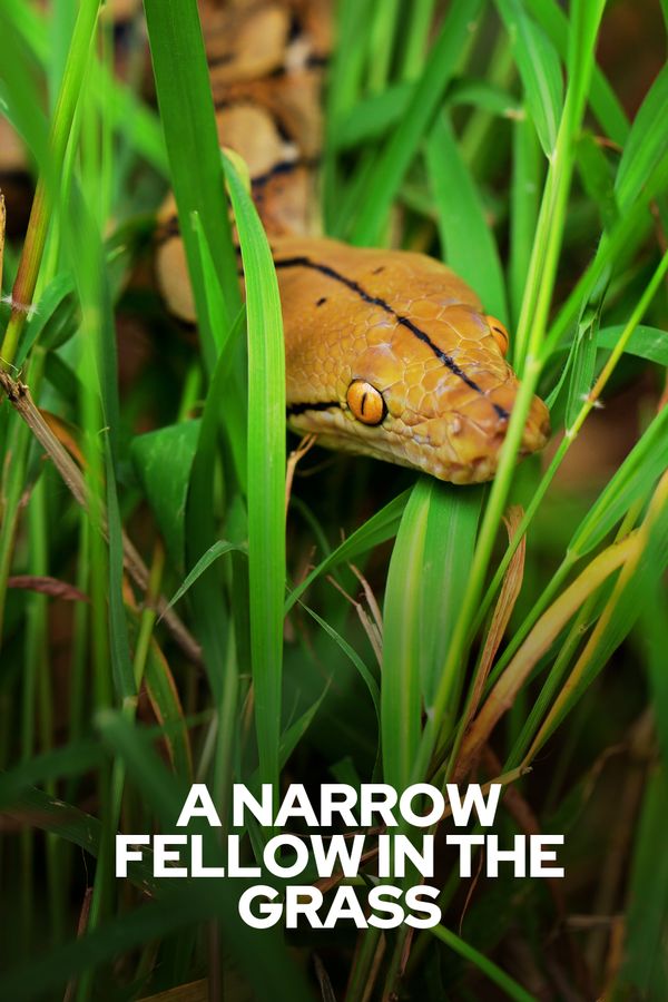 title cover