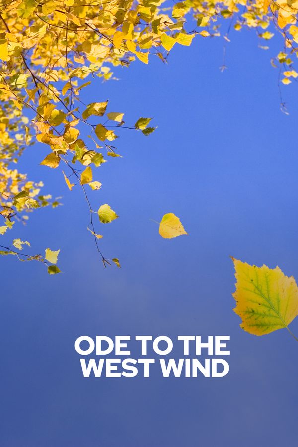 title cover