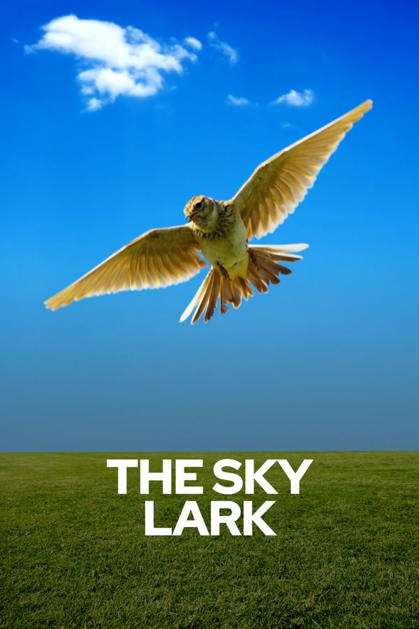 title cover