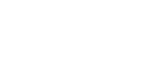 We Shall Never Surrender