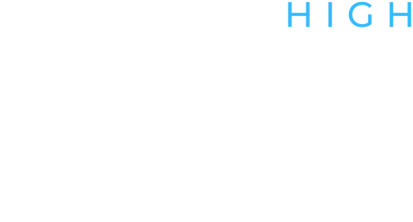 Bluford Series - The Gun - Book 6
