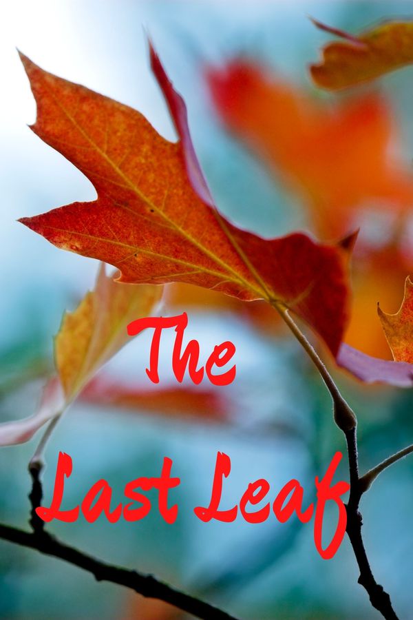 synopsis of the last leaf by o henry