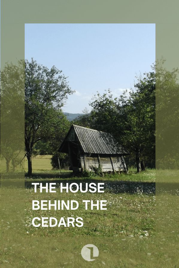 The House Behind the Cedars cover image