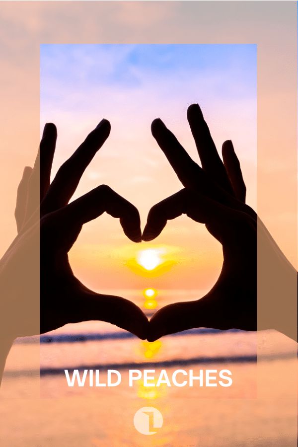title cover