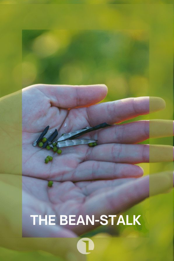 The Bean-Stalk cover image