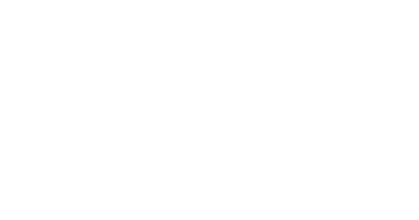 I am a Democrat and not a Revolutionist
