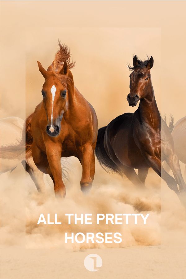 All the Pretty Horses cover image
