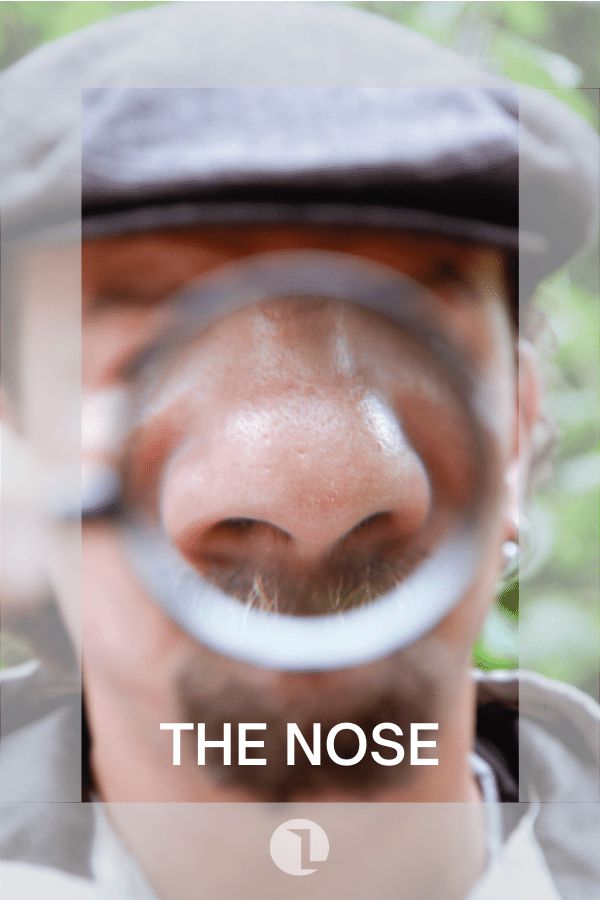 The Nose cover image