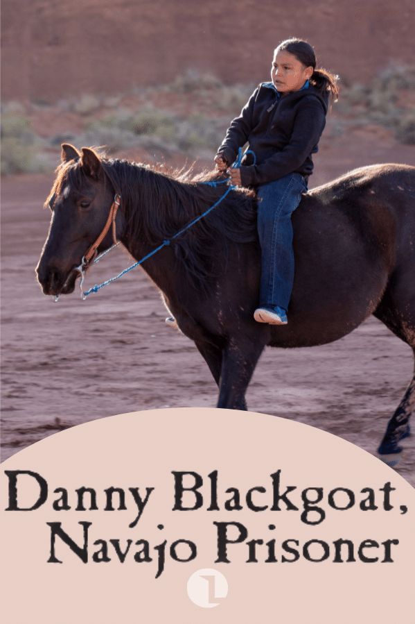 title cover