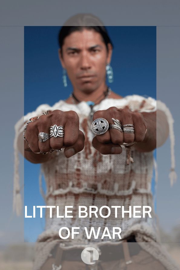 Little Brother of War cover image