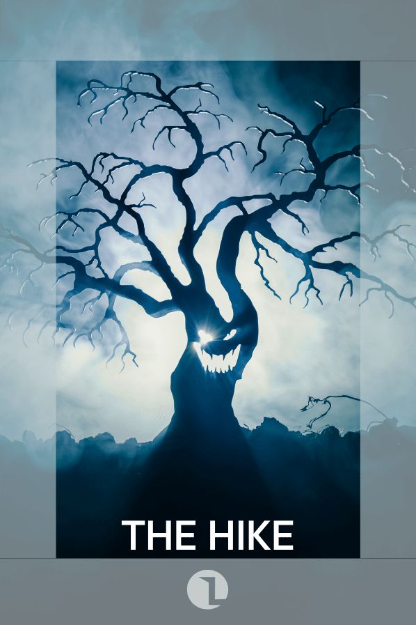 The Hike cover image