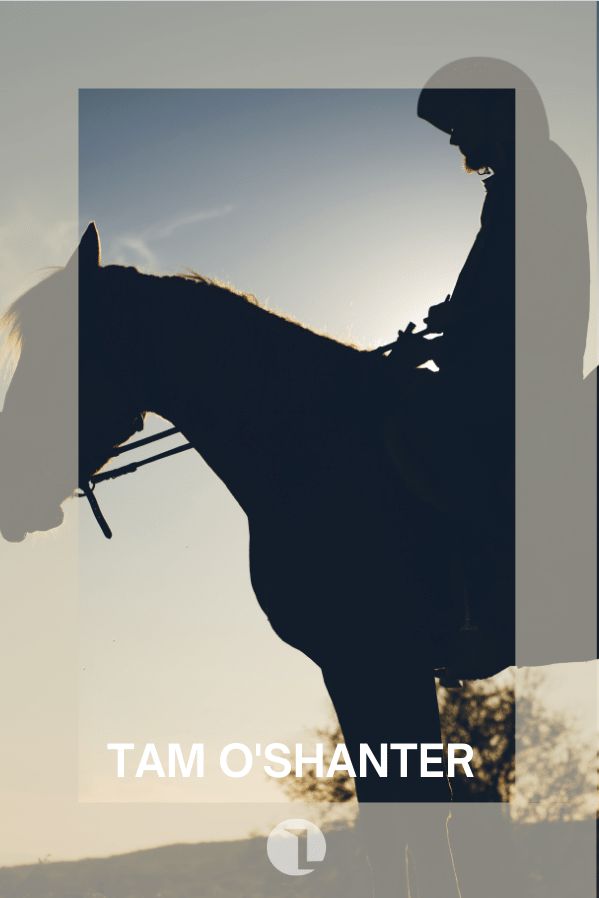 title cover