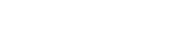 Flight Into The Unknown