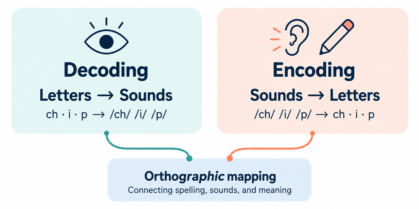 Encoding and Decoding for Phonics Instruction
