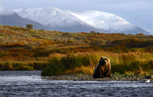 Kodiak Island