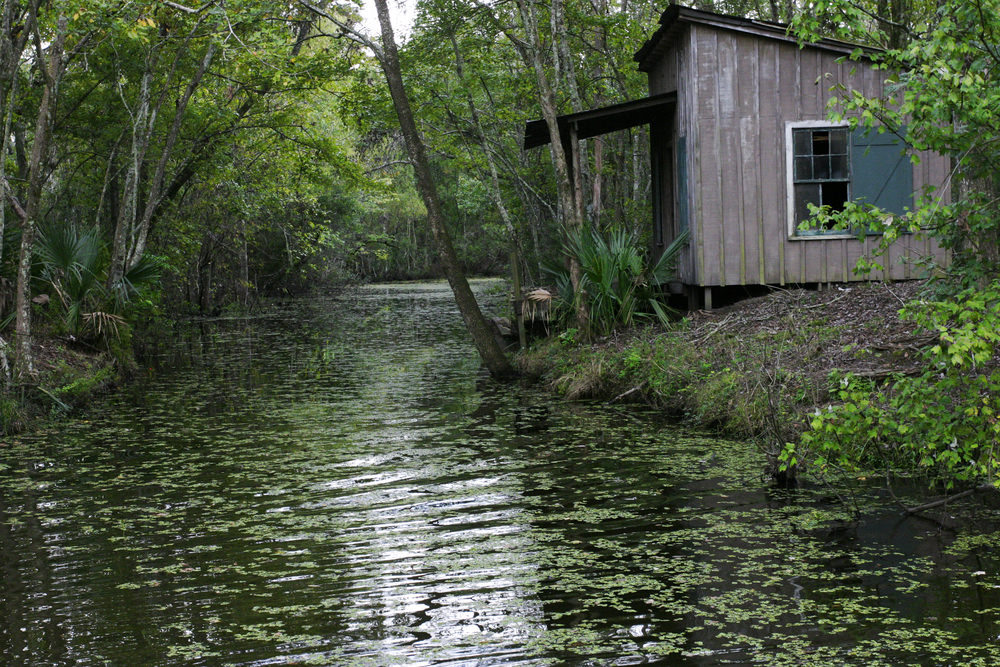 Cajun Country