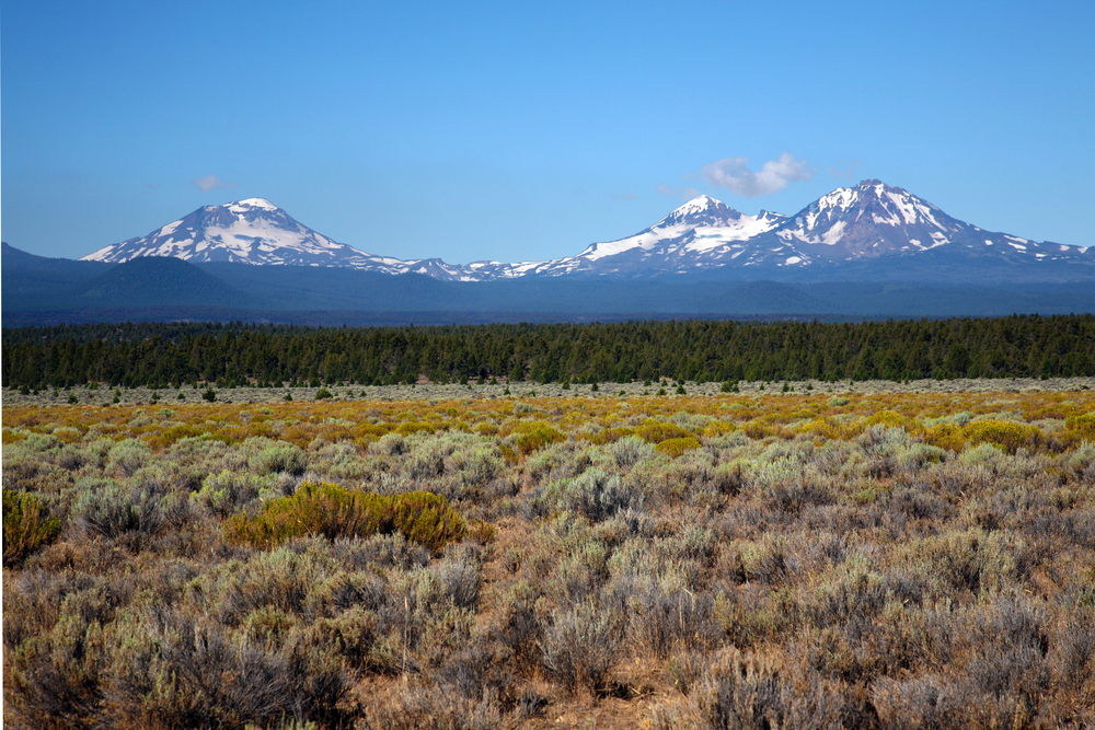 Three Sisters