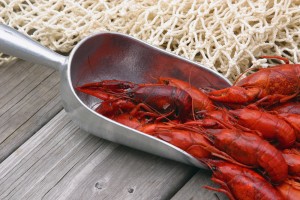 Red Crawfish